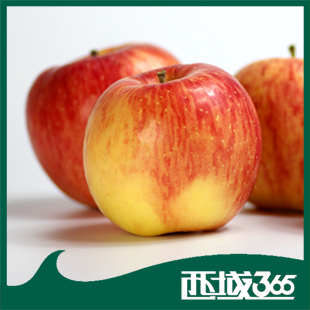  苹果 水果吃的新鲜新疆阿克苏冰糖心红富士有机苹果 包邮