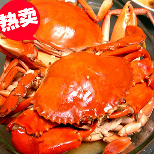  鲜优源活鲜海鲜 肉蟹/青蟹  香辣精品螃蟹 顶餐菜 400克-500克/只