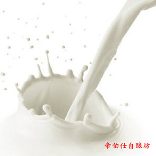  20斤奶自酿酒法国进口辅料套餐 DIY奶酒 帝伯仕自酿