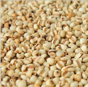  现磨薏仁粉养颜袪湿薏米粉熟天然粉粉食品50元以上包邮