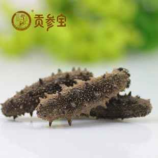  贡参宝 纯淡干海参50克 高品质野生无糖刺参 干货海参批发5-10只