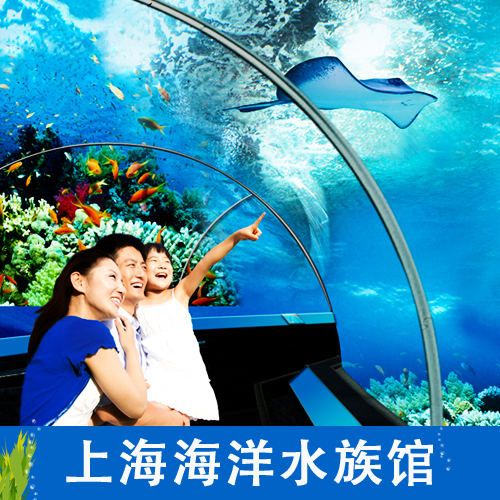 上海海洋水族馆门票 成人票 儿童票 观喂食 送观