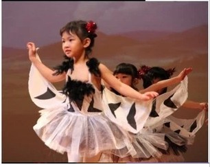 特价儿童舞蹈服\/演出服\/成长的小燕子舞蹈服\/动