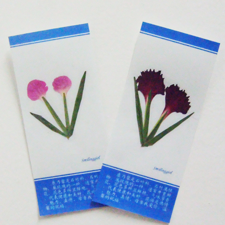 康乃馨 四叶草 干花书签 花朵工艺品 塑封 植物