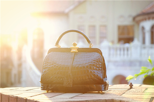 LANA MARKS - 私人定制 深棕色全鳄鱼腹皮医