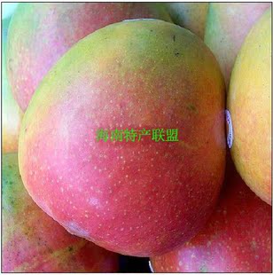  【海南水果】包邮 特级优良种澳芒 海南新鲜水果 香甜好吃