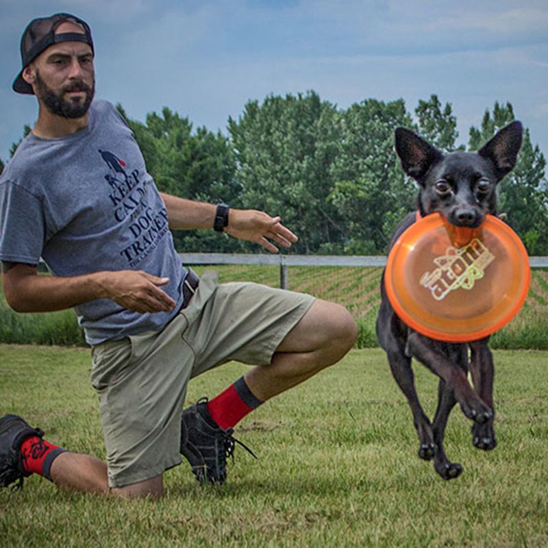 American imports HeroDisc Frisbee Dog Dedicated Frisbee Puppies Small dogs Dedicated superAtom New productsin the Pet/Pet food and supplies , Cat/Dog Toys , Flying disk category - from Buy2taobao.com to provide professional Taobao agent buy service