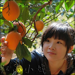  赣南脐橙『江南小城』信丰安西甜橙 新鲜水果 20斤《年货发售》