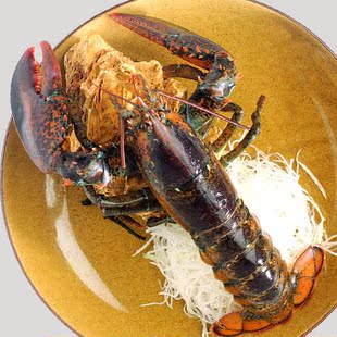  【天猫年货】 加拿大特产龙虾 波斯龙虾 鲜活龙虾 超值　700g只