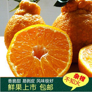  新鲜水果 丑八怪蜜桔 不知火丑柑 柑橘 肉嫩多汁 5斤装江浙沪包邮