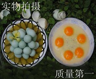  农家散养乌鸡 乌鸡蛋 绿壳鸡蛋 绿鸡蛋当天产当天发 全国空运