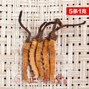  正品 西藏那曲冬虫夏草 品质虫草  5条1克