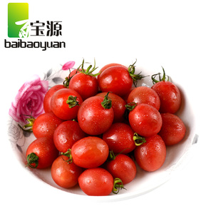  百宝源 新鲜海南千禧 圣女果 小西红柿/番茄水果/比车厘子樱桃好