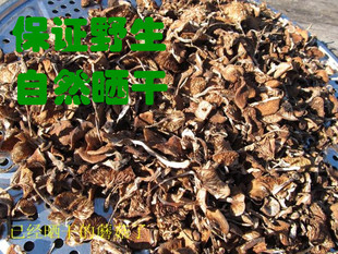  东北特产 野生农家榛蘑菇丁 干货 小鸡炖蘑菇 特价包邮批发