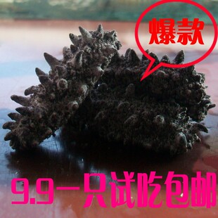  【捡宝贝】俄罗斯参 小海参 儿童参 滋补提高免疫力 纯野生 1只