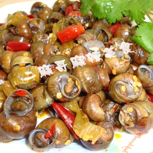  两件包邮 现做私房菜 香辣麻辣泡椒爆炒田螺250g*2真空下酒菜螺蛳