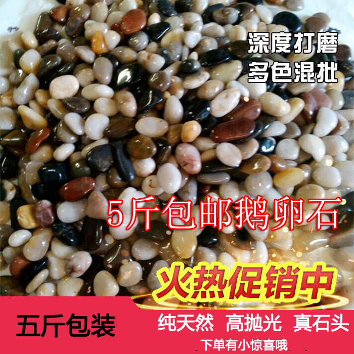 鵝卵石雨花石天然五彩花盆裝飾盆栽多肉魚缸造景彩色石子5斤包郵在類目 鮮花速遞/花卉仿真/綠植園藝, 園藝用品, 其它園藝用品中 - 來自Buy2taobao.com提供專業的淘寶代購服務