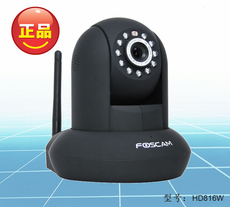 IP-камера Бесплатная доставка Foscam сетевых камер