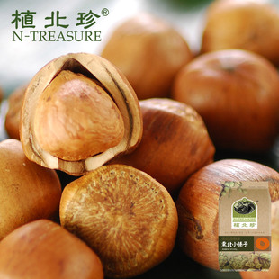  【植北珍】野生 小榛子 坚果 东北榛子 特产 干果 坚果零食 500g