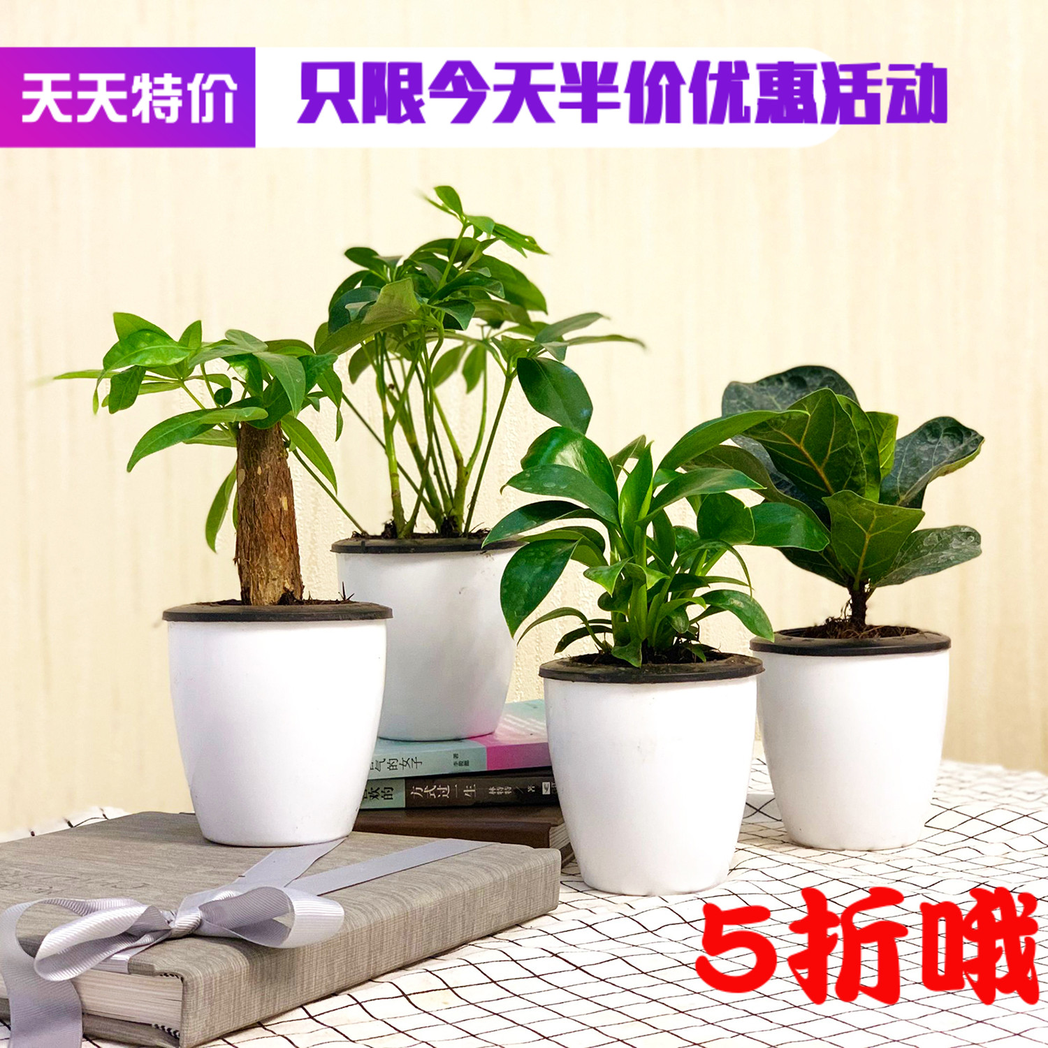 绿萝盆栽植物室内水培绿植栀子花文竹碧玉袖珍椰子发财树花卉盆栽|ruв категории доставка цветов/цветок моделирования/растения садоводства, цветок/растения в горшках (новый), растения - от Buy2taobao.com для оказания профессиональной услуги покупки агента Taobao