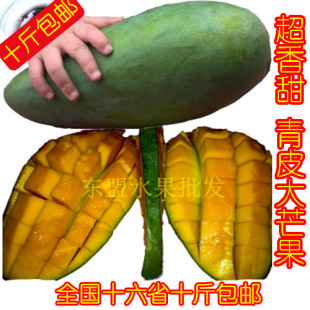  新鲜芒果 金煌大青芒 香甜青皮芒 广西海南泰国越南新鲜水果包邮