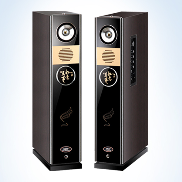Купить Hi-Fi акустика 先科2.0有源音响专业舞台音响户外活动音箱会议音响广场演出音响 SAST в интернет ...
