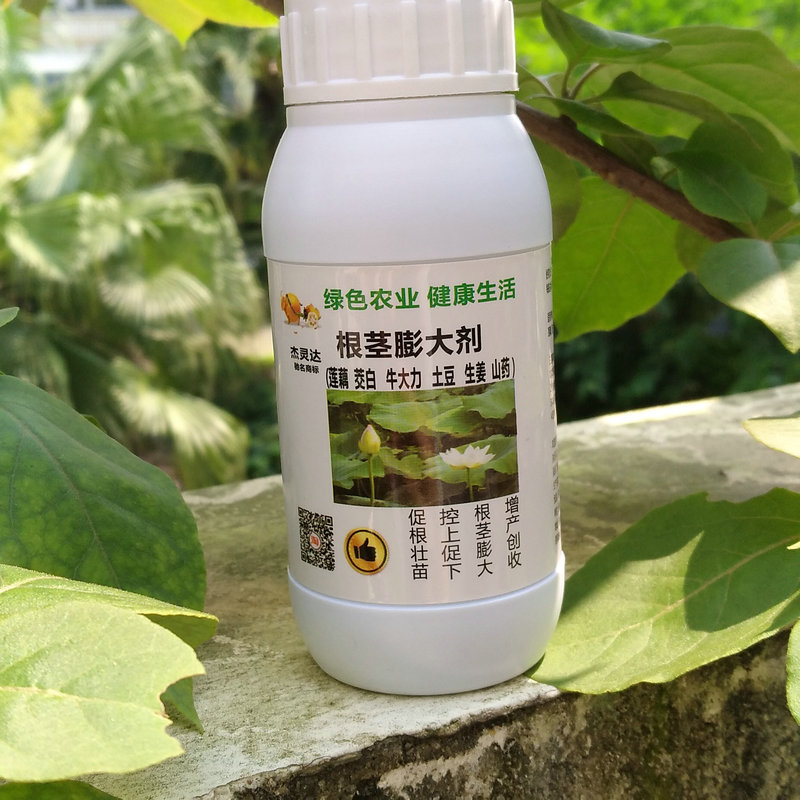 傑靈達 根莖膨大劑 塊莖膨大素 交白蓮藕牛大力中藥材生姜專用在類目 農用物資, 肥料, 新型肥料中 - 來自Buy2taobao.com提供專業的淘寶代購服務