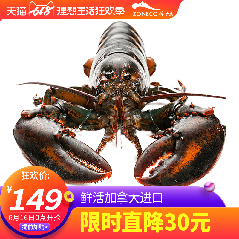 獐子岛波士顿鲜活龙虾700g 加拿大进口海鲜水产大龙虾波斯顿活虾|ruв категории водной мясо/свежие фрукты и овощи/еда, морепродукты/водные продукты/изделия, креветки, жить креветки - от Buy2taobao.com для оказания профессиональной услуги покупки агента Taobao