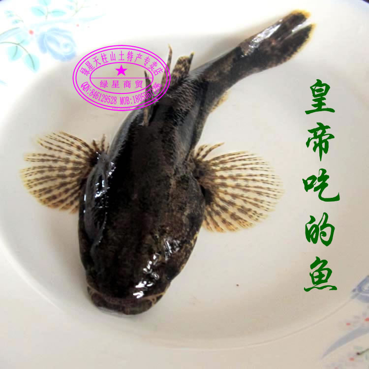 淘宝网热卖海鲜\/水产品其它排行榜_2013淘宝