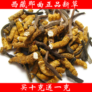  西藏纯野生冬虫夏草  那曲 虫草 断草 店主精选特价 自吃超值实惠