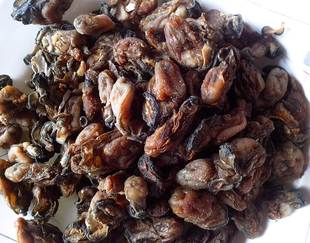  中国特产 大耗干货 海蛎子 广西海鲜制品 水产品 包装礼盒 现货