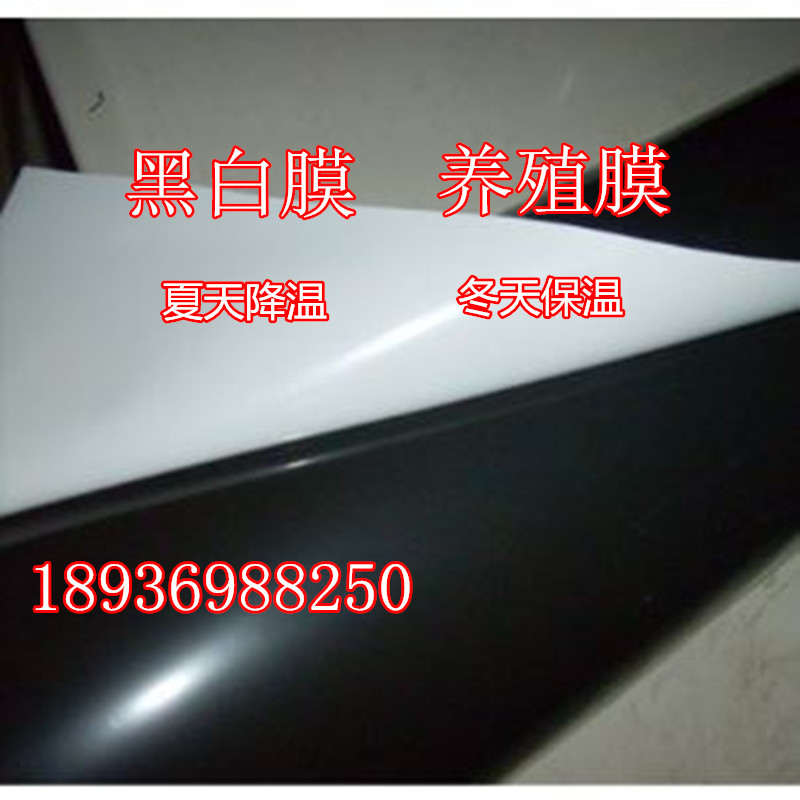 Black and white film PEP Culture film black Plastic film Big films Poultry Aquatic products Culture film Mushroom Big filmsin the Agricultural Machinery/Farm tools/Plastic sheeting , Plastic sheeting/Tarpaulin/Network cover/Greenhouse , Agricultural film category - from Buy2taobao.com to provide professional Taobao agent buy service