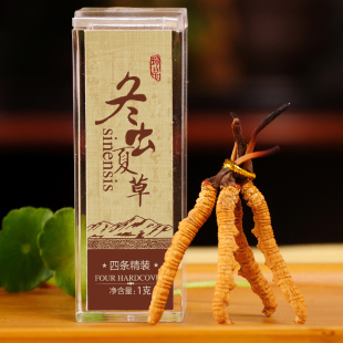 晨曦 青海玉树 冬虫夏草正品 同仁堂 独立礼盒包装特级虫草4根1克