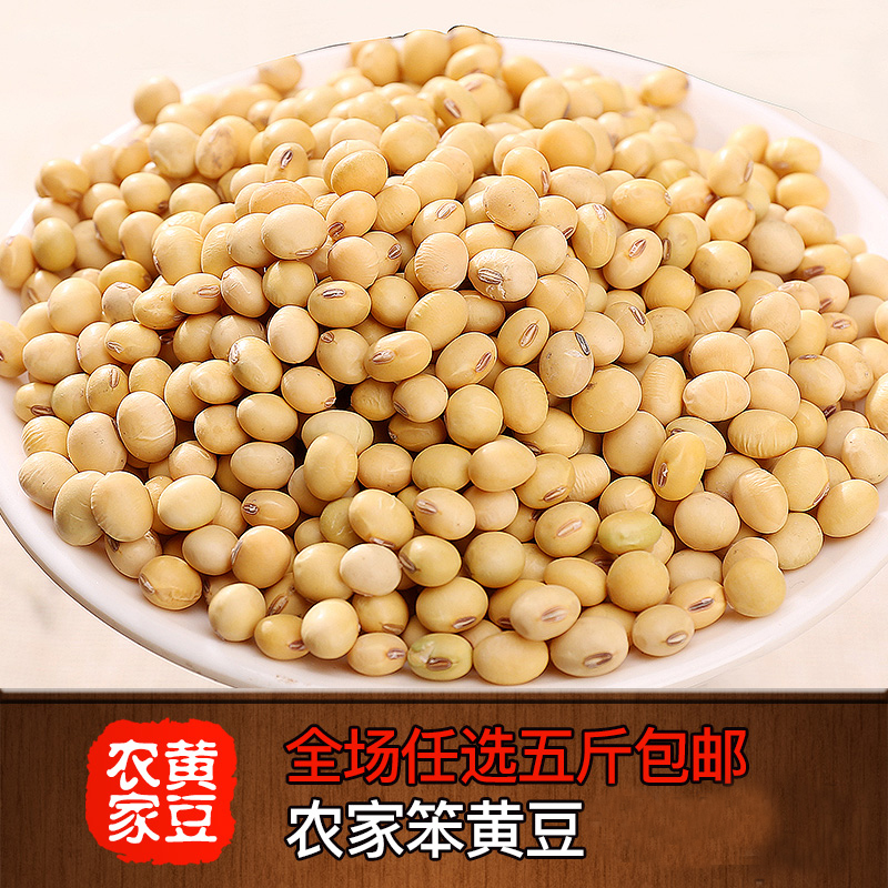 新货农家笨黄豆 大豆椭圆 小黄豆 豆芽豆浆专用豆5斤包邮|msdalam kategori beras/Utara-Selatan barangan kering/perasa, meter/tepung/bijirin, Beans, kacang soya - dari Buy2taobao.com untuk memberikan perkhidmatan ejen Taobao profesional membeli