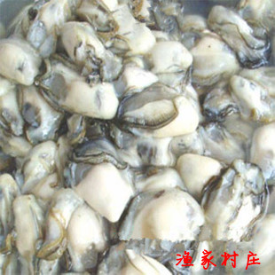 野生海鲜 特级野生生耗/牡蛎/生蚝 海蛎肉 不带壳海蛎 鲜活