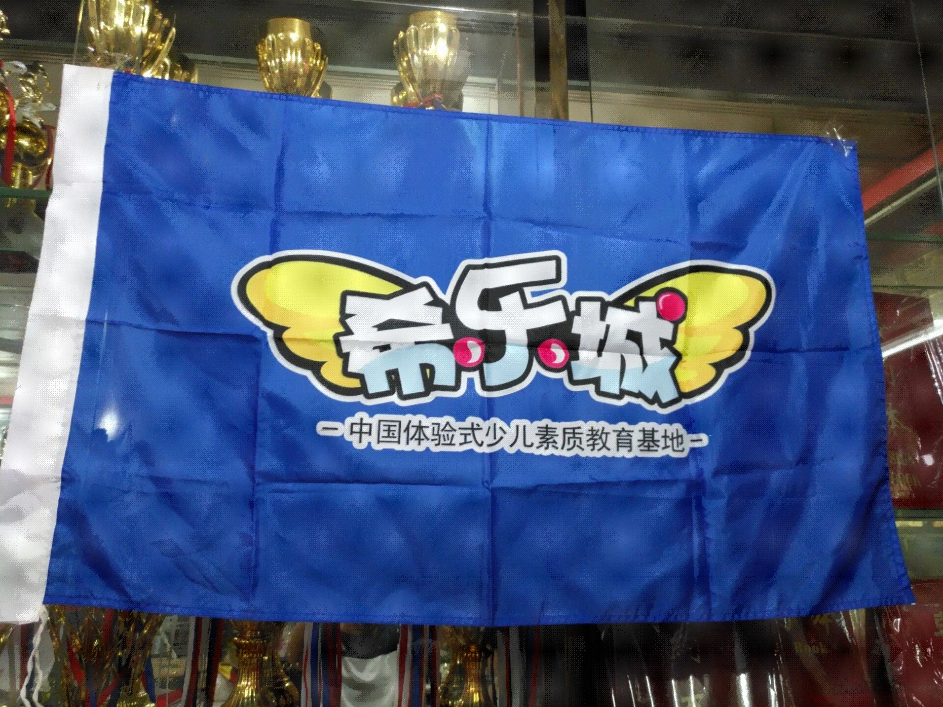 印旗 公司旗 班旗 校旗 广告旗 团旗 公司旗 团旗 导游旗 活动旗在类目 电子词典/电纸书/文化用品, 教学演示/展示告示用品, 旗帜中 - 来自Buy2taobao.com提供专业的淘宝代购服务