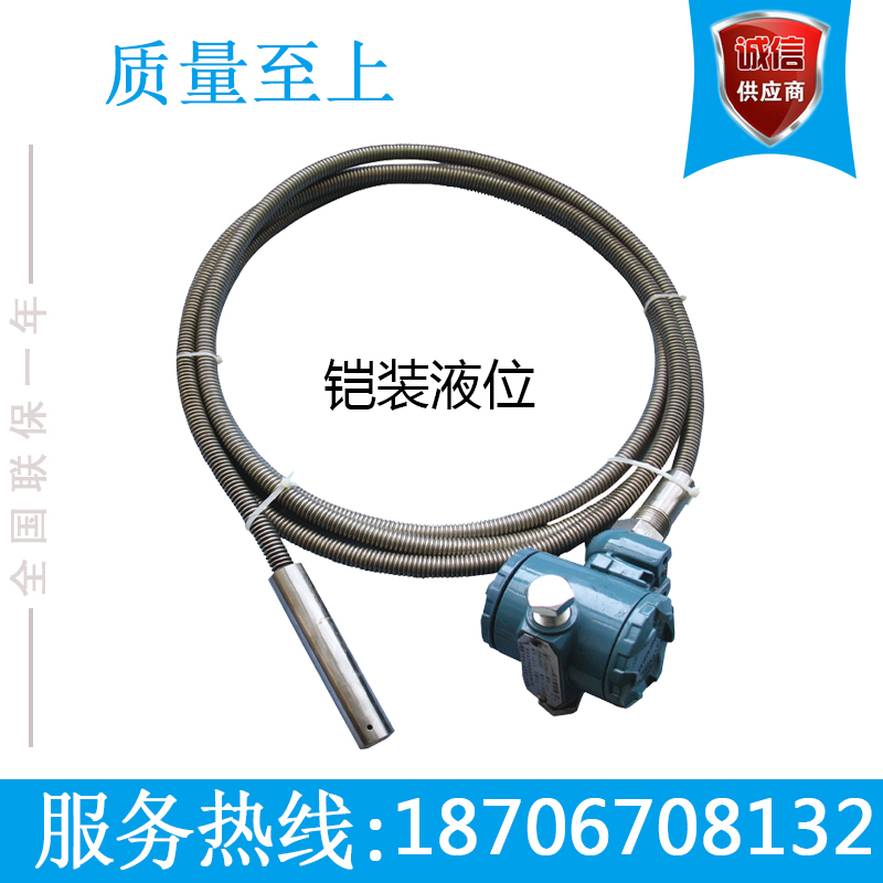 CS323/CS324型铠装液位变送器 柴油/汽油/液化气罐测量专用在类目 五金/工具, 仪器仪表, 压力表中 - 来自Buy2taobao.com提供专业的淘宝代购服务