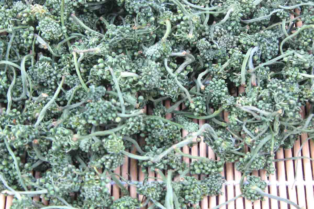 长白山原产地发货自产自销西洋参花茶西洋参花蕾大花蕾500克48元|msdalam kategori makanan berkhasiat tradisional, ginseng tonik, American ginseng - dari Buy2taobao.com untuk memberikan perkhidmatan ejen Taobao profesional membeli