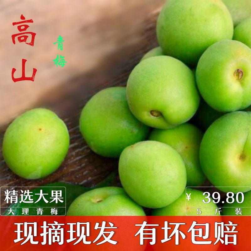 2019雲南新鮮青梅大果散裝5斤包郵現摘野生酸脆泡酒梅子水果酵素在類目 水產肉類/新鮮蔬果/熟食, 新鮮水果, 其它中 - 來自Buy2taobao.com提供專業的淘寶代購服務