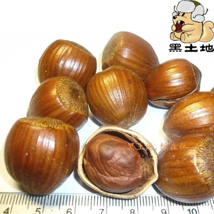  5冠 东北大榛子 大尖250g 超大原味 孕妇炒货坚果零食 4件包邮