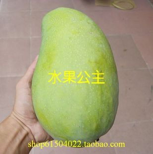  海南三亚 芒果 新鲜/水果 芒果 青芒 芒果王 青皮芒果王