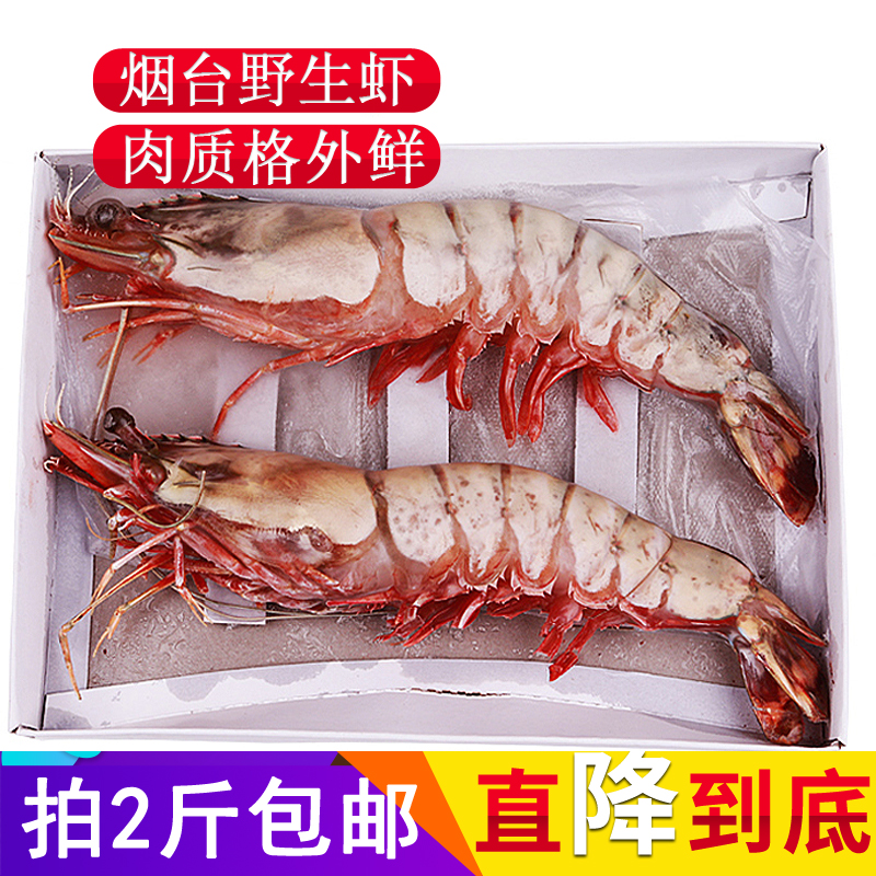 虎蝦鮮活超大海鮮新鮮九竹節蝦野生斑節蝦特大對蝦老虎蝦大草蝦在類目 水產肉類/新鮮蔬果/熟食, 海鮮/水產品/製品, 蝦類, 活蝦中 - 來自Buy2taobao.com提供專業的淘寶代購服務