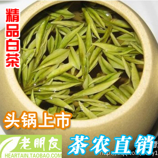  新茶叶安吉白茶头采大山坞白茶野生极品白茶限量提供正式上市