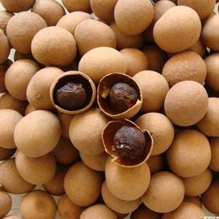  特大桂圆干/福建莆田特级5A大桂圆干/龙眼干核小肉厚/250克