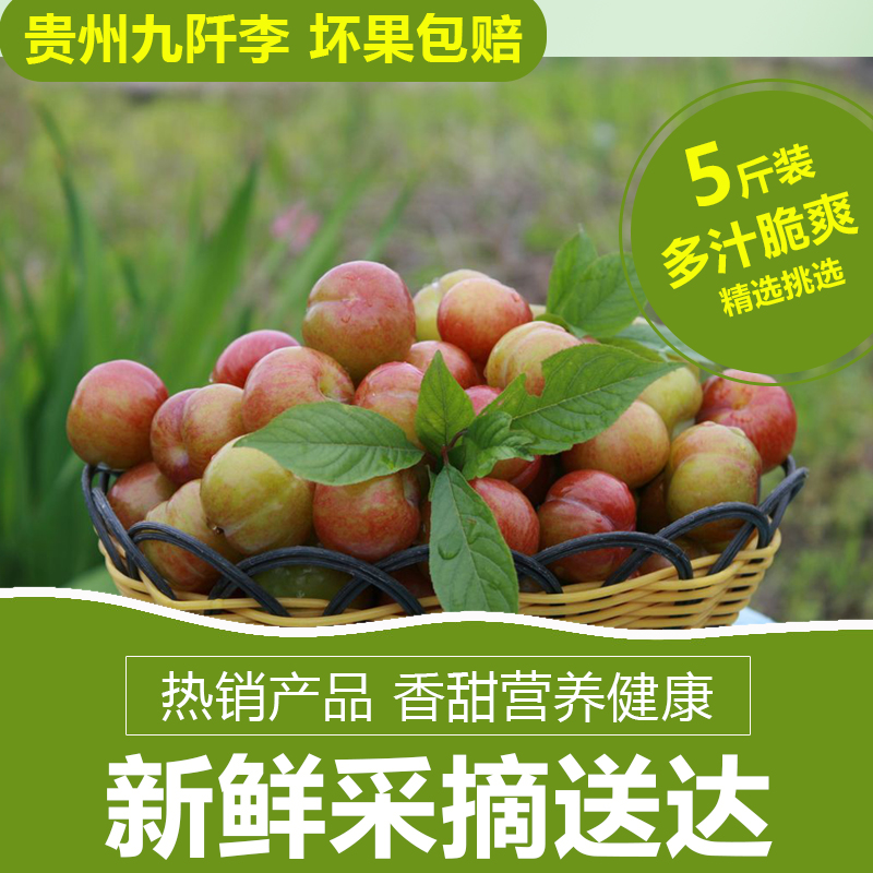 贵州正宗三都九阡李新鲜质脆自家果园现摘现发5斤净顺丰空运包邮|msdalam kategori daging perikanan/Buah-buahan segar dan sayur-sayuran/dimasak, buah-buahan segar, Li Zi - dari Buy2taobao.com untuk memberikan perkhidmatan ejen Taobao profesional membeli