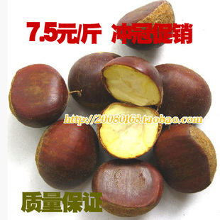  【栗家直销】正宗罗田板栗红光板栗野/生新鲜生栗子甘栗油栗