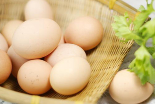  【嘉兴自提】绿健土鸡蛋一盒（36个）绿色生态土鸡蛋