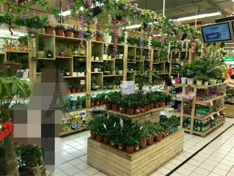 木制烤漆多层盆载盆景展示架陈列架工艺品古展柜花店花卉专用花架|msdalam kategori Perniagaan/perabot pejabat, rak/Showcase, pameran Fine/Showcase - dari Buy2taobao.com untuk memberikan perkhidmatan ejen Taobao profesional membeli