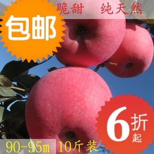  山东烟台栖霞红富士苹果水果新鲜冰糖心有机苹果特大90mm七省包邮