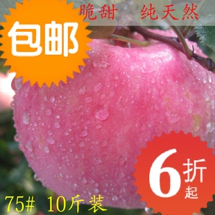  正宗山东栖霞烟台苹果水果新鲜红富士苹果脆甜有机批发7省包邮75#